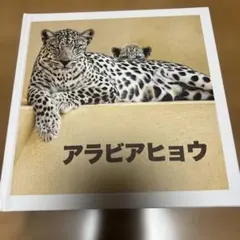 アラビアヒョウ