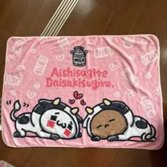 【美品】愛しすぎて大好きすぎる ブランケット
