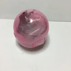 ニャンコ先生四季折々テラリウム