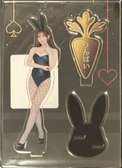 うんぱい キャンバスボード B賞 うんぱい FANZAオンラインくじ ミニキャンバスボード - メルカリ