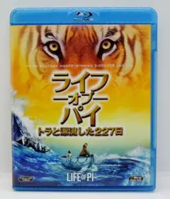 Item thumbnail for item aa8db6e4-242a-42c9-bf51-e3edd0384b0b