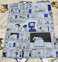PEANUTS スヌーピー TBS 70周年記念 クリアファイル - メルカリ