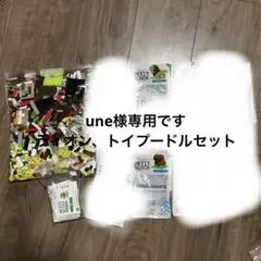 トイプードルとライオンのセット
