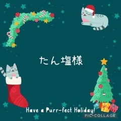 たん塩様☆おまとめ