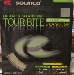 HEAVEN STRINGS TOUR BITE & VANQUISH
