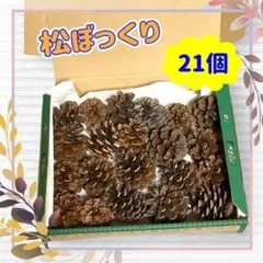 【ハンドメイド材料】松ぼっくり 21個 クリスマスリース等に 材料 オーナメント
