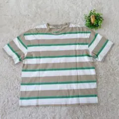 ZARA ザラ　Tシャツ ベージュ×グリーン ボーダー 半袖 M　カジュアルのサムネイル