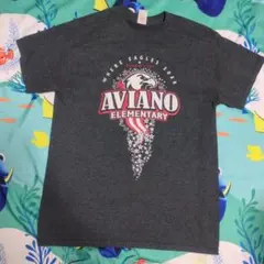 海外 古着 メンズ Tシャツ M ダークグレー GILDAN ベビーコットン