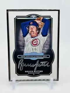 2025 Topps UPDATE Ben Rice 直筆サインカード 50シリ - メルカリ