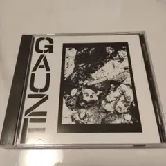 ★美品★GAUZE/EQUALIZING DISTORT