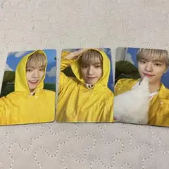 SEVENTEENTH heaven carat盤 ディノ トレカセット