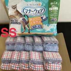 Item thumbnail for item a663a97d-e9be-435f-ae0f-4db903641e52