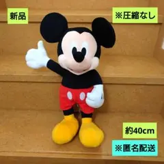 ミッキー　ぬいば　まとめ売り ディズニーキャラクター ぬいぐるみL パン屋コスチューム