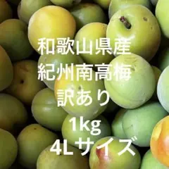 無農薬梅 木熟梅郷1キロ 無選別 - メルカリ