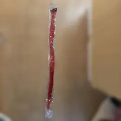 Item thumbnail for item eb5bb567-44b4-4247-9a45-b8b2aadea61c