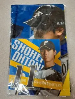 Item thumbnail for item ea945d1d-cb3c-4114-ac80-2bbd8f490480