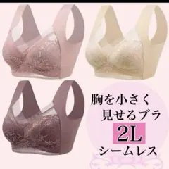 胸を小さく見せるブラ シームレス Lノンワイヤー ナイトブラ着痩せ効果 美胸b