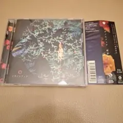 新品同様　新居昭乃　ソラノスフィア
