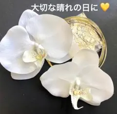 清楚で華やか胡蝶蘭髪飾り　水引　金箔　胡蝶蘭　卒業式　結婚式　和装