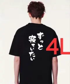 10-406　新品　 4L　おもしろTシャツ　半袖Tシャツ　ギャグ