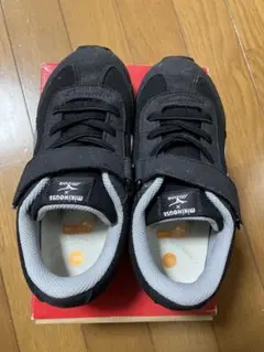 Item thumbnail for item 922ba646-2e32-4e7f-a423-45612f18dd10