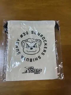 Item thumbnail for item 64b42ee9-9c64-4759-85d5-9f168157001d