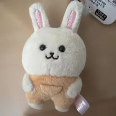 ちいかわパーク ミニマスコットキーリング なんか似てるの うさぎ