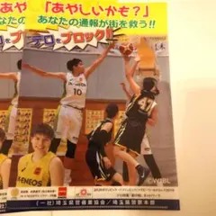 Item thumbnail for item b6fd4b0e-d5d9-466a-9004-044beb11d50f