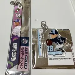 ヤクルトスワローズ 奥川泰伸選手