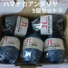 新品 アンダリヤ 5個セット 152番 30番ハマナカ レーヨン100%