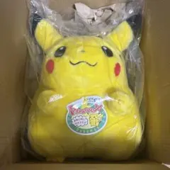 K*e様 ポケモン30周年記念おかえり!ピカチュウ1/1