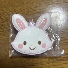 シークレットラバーミラーキーホルダー　ウィッシュメール
