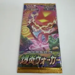 2026年最新】爆炎ウォーカー box 未開封の人気アイテム - メルカリ