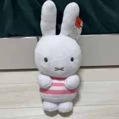 Item thumbnail for item 13a1c793-caad-43e4-8a0a-3431a10a83a9