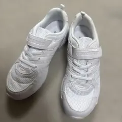 瞬足　24㎝　白