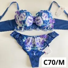 ワコール　ルジェ　C70/M　KO　青　紺　ネイビー　脇高ブラ　タンガ　ソング