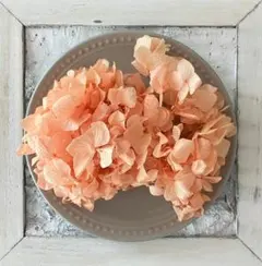 あっちゃん☆3児のまま様 リクエスト 4点 まとめ商品