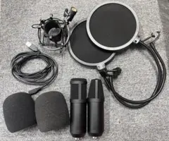 美品・動作確認済】SM Pro Audio MC01 コンデンサーマイク - メルカリ
