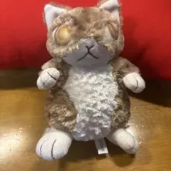 わちふぃーるど ダヤン 猫 ぬいぐるみ Lサイズ 28cm - メルカリ
