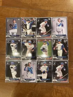 北海道日本ハムファイターズ スポーツカード