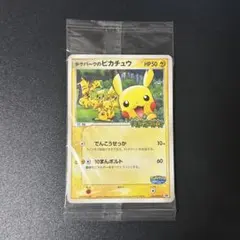 2026年最新】ポケモンパークの人気アイテム - メルカリ