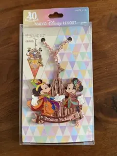 ディズニー　バッグチャーム