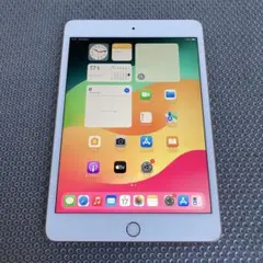 746 美品☆電池良好☆iPad mini5 64GB WIFIモデル☆