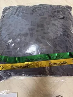 ケツメイシ ライブ 2026 クッション OTAKIBIシート 特典 - メルカリ