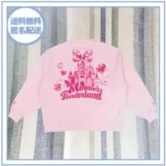 ディズニー　パルパルーザ・ミニーのファンダーランド　トレーナー　ビッグシルエット