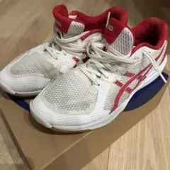 2025年最新】ローテジャパンライトFF2の人気アイテム - メルカリ