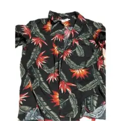 Item thumbnail for item 6981add7-cc15-44bb-a5a5-db823630445c