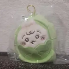 ちいかわベビー キャベツに包まれたうさぎ マスコット Chiikawa Baby