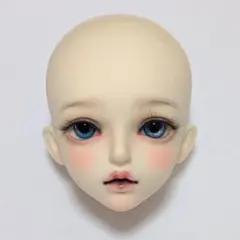 スーパードルフィー くん ヘッド 有償交換済み メイクカスタマー作 