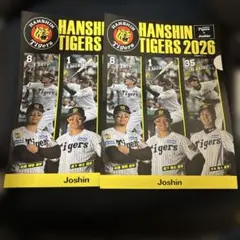 阪神タイガースファイル2枚 Joshin
